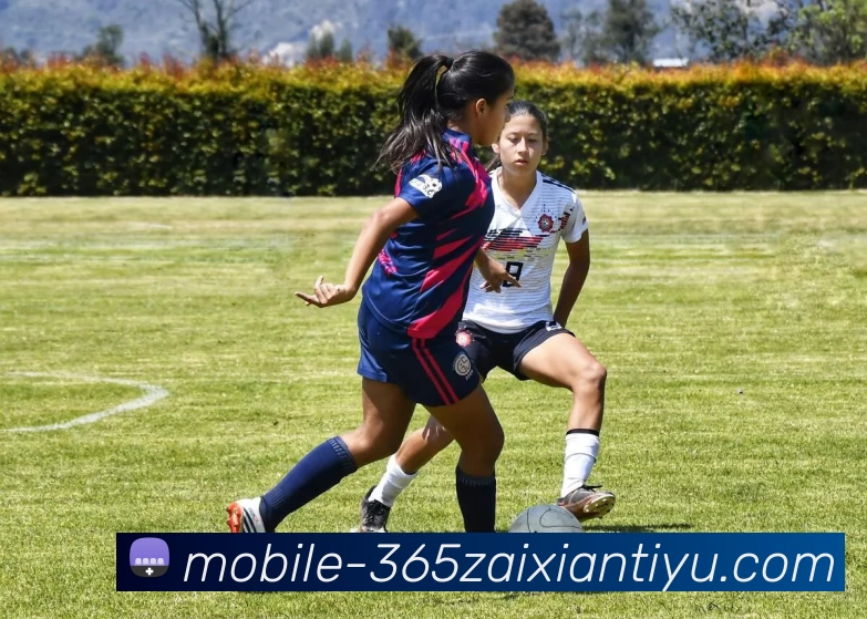 beat365平台生态图