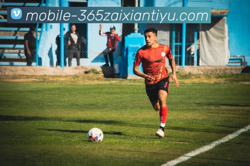 数据防护可视化